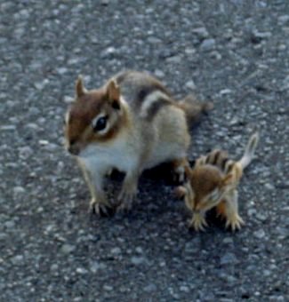 máma na plný úvazek máma na plný úvazek